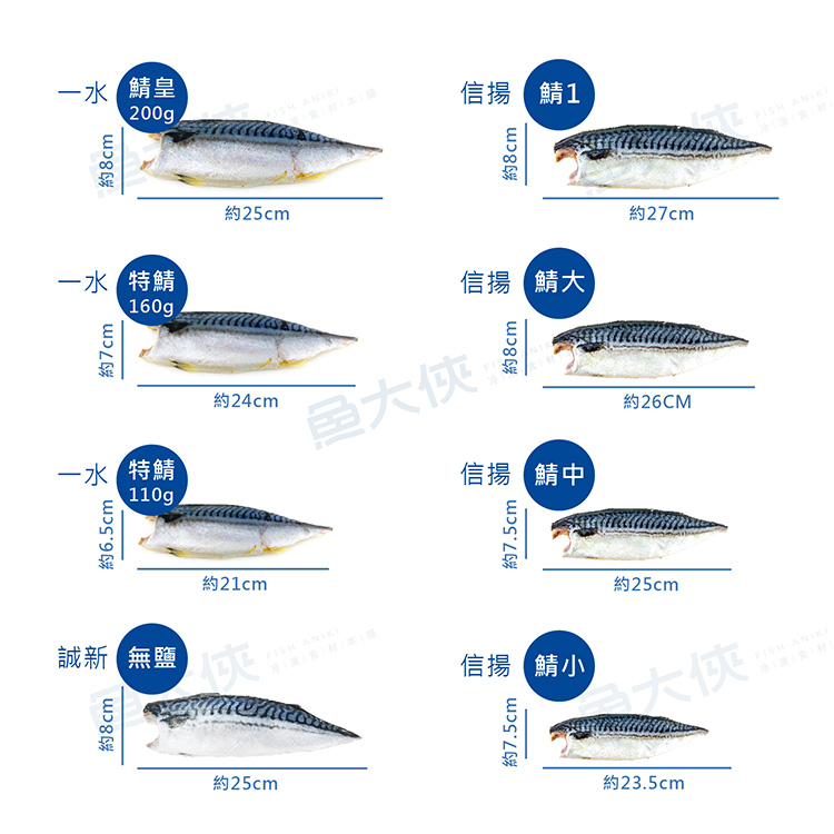 一水花飛-薄鹽挪威鯖魚片-鯖皇(200g/片)#特級-1G3B【魚大俠】FH174