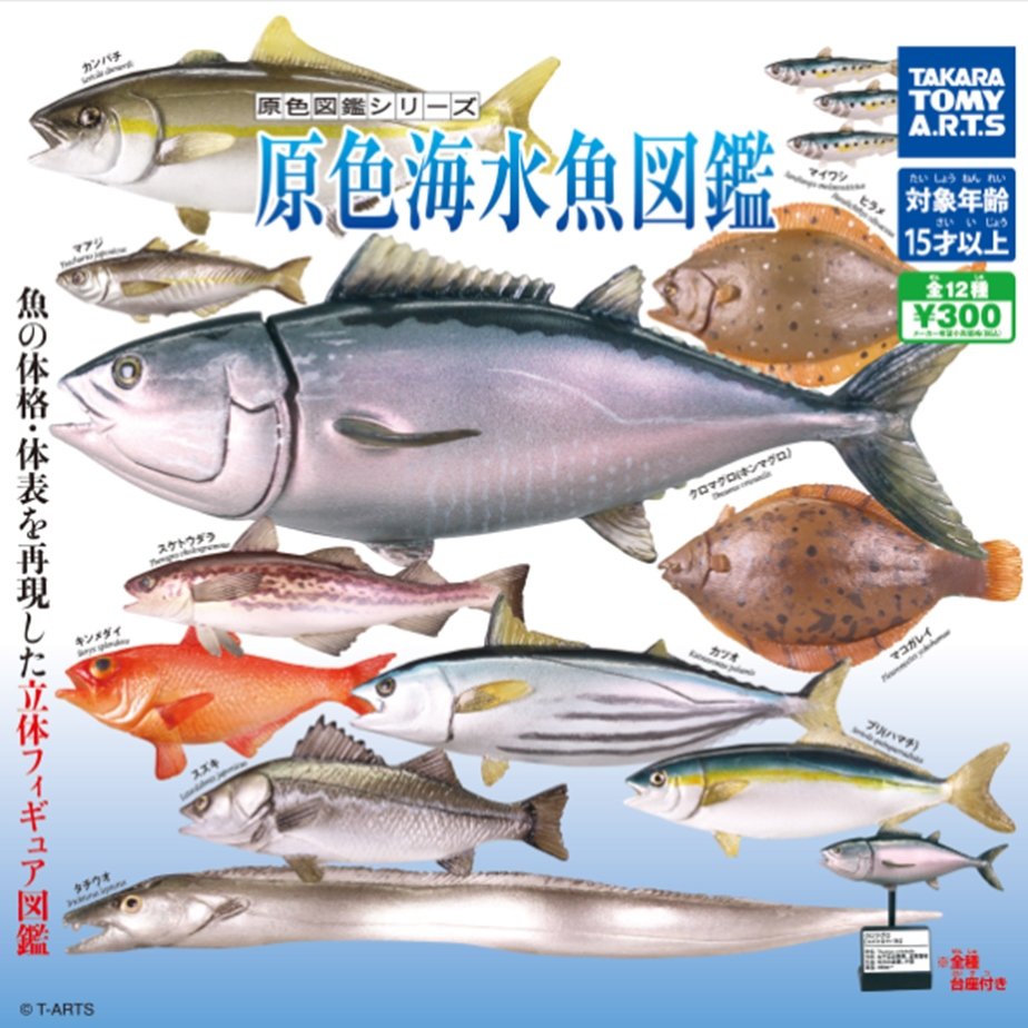 扭蛋屋】原色海水魚圖鑑《全12款》 | Yahoo奇摩拍賣