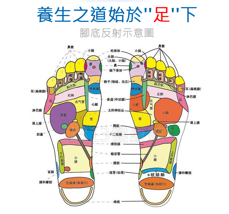 商品主圖-5