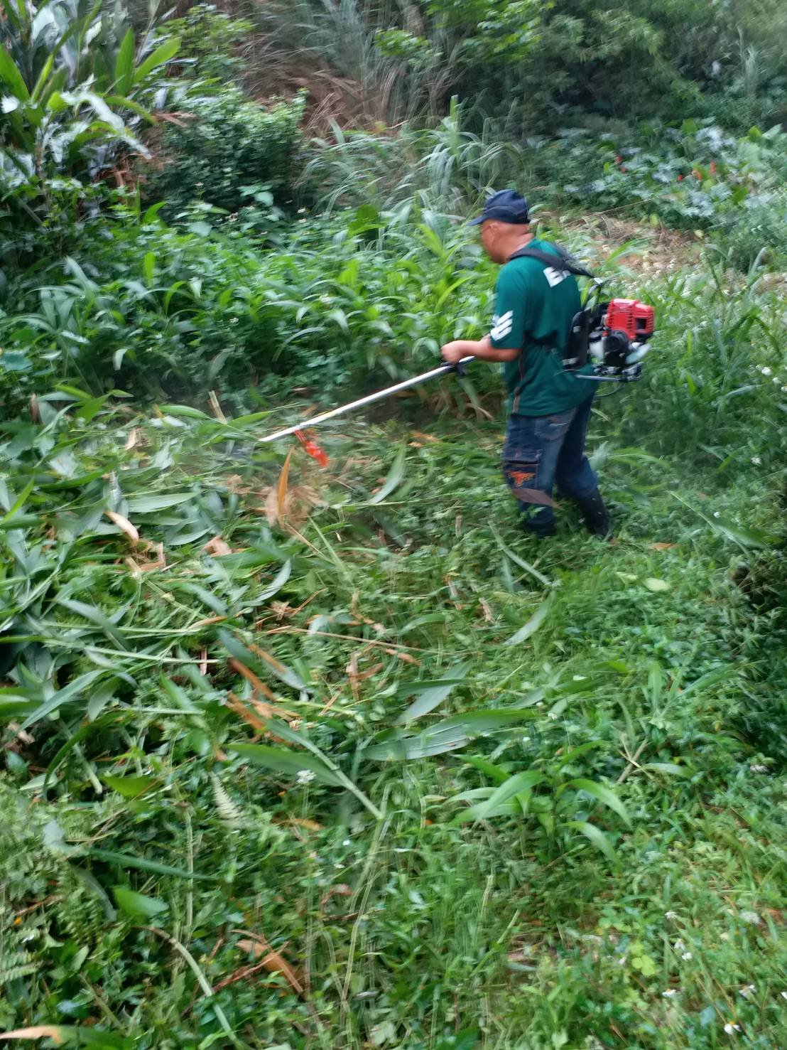 打拚園藝~自工價廉~代客除草~墓園割草~中部服務~專營台中市與海線梧棲 沙鹿 清水 龍井地區~歡迎洽詢