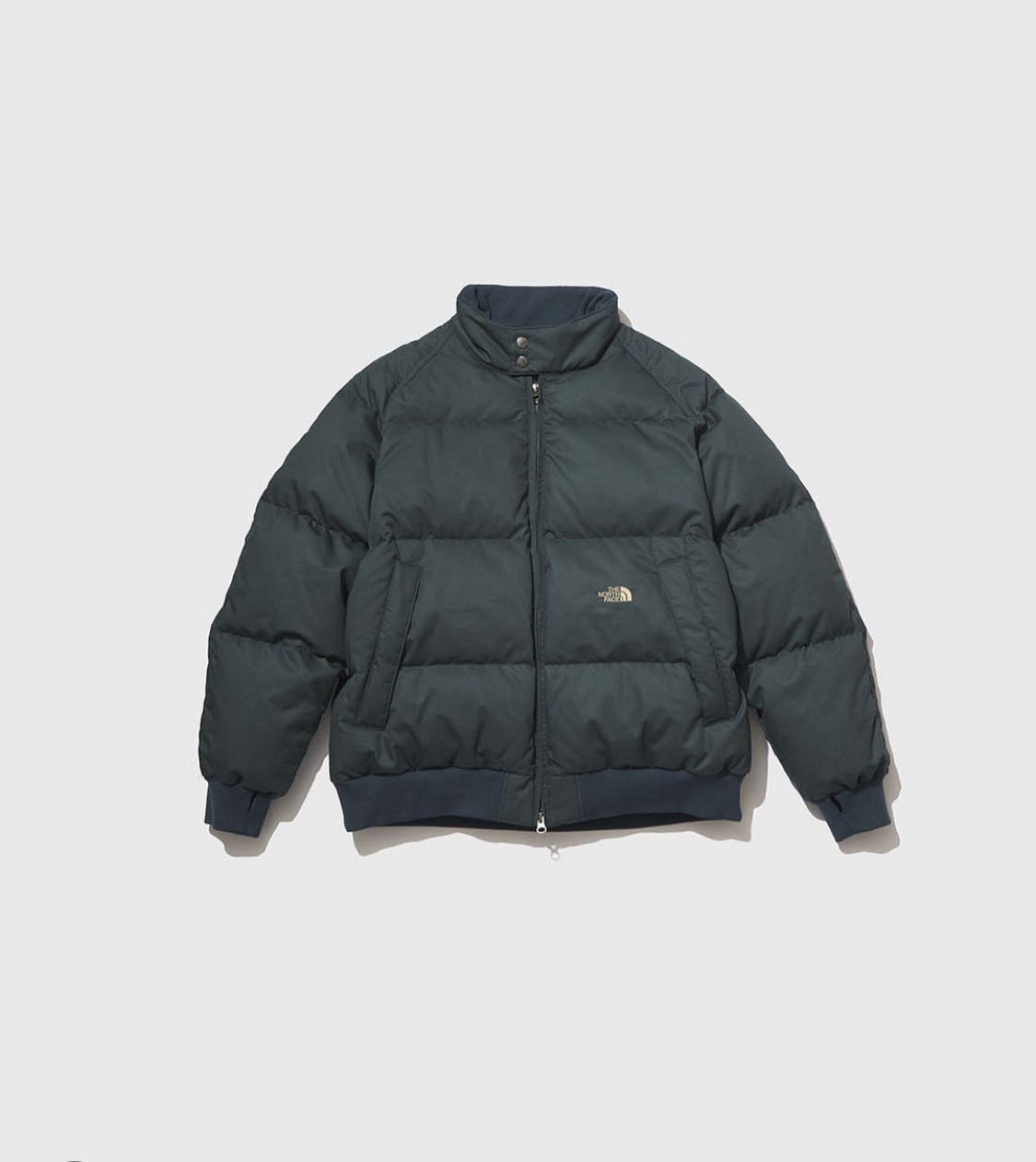 THE NORTH FACE 紫標Lightweight Twill Mountain Down Jacket 立領羽絨