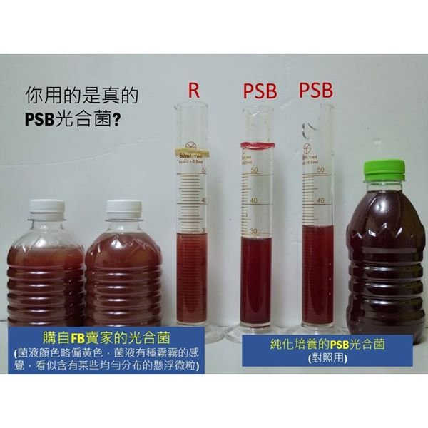 PSBLab] 水族光合菌600cc, PSB光合成菌, 光合紅菌, 光合細菌, 不須使用