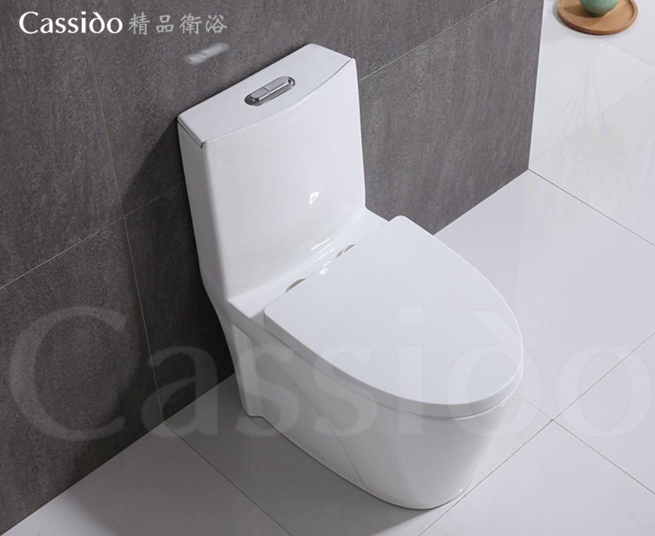 《振勝網》CASSIDO 進口衛浴精品 0-805 水龍捲單體馬桶 省水馬桶 另售 TOTO 和成 凱撤 京典