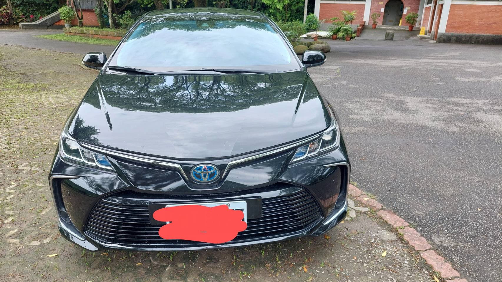 2020 Toyota 豐田 Corolla altis