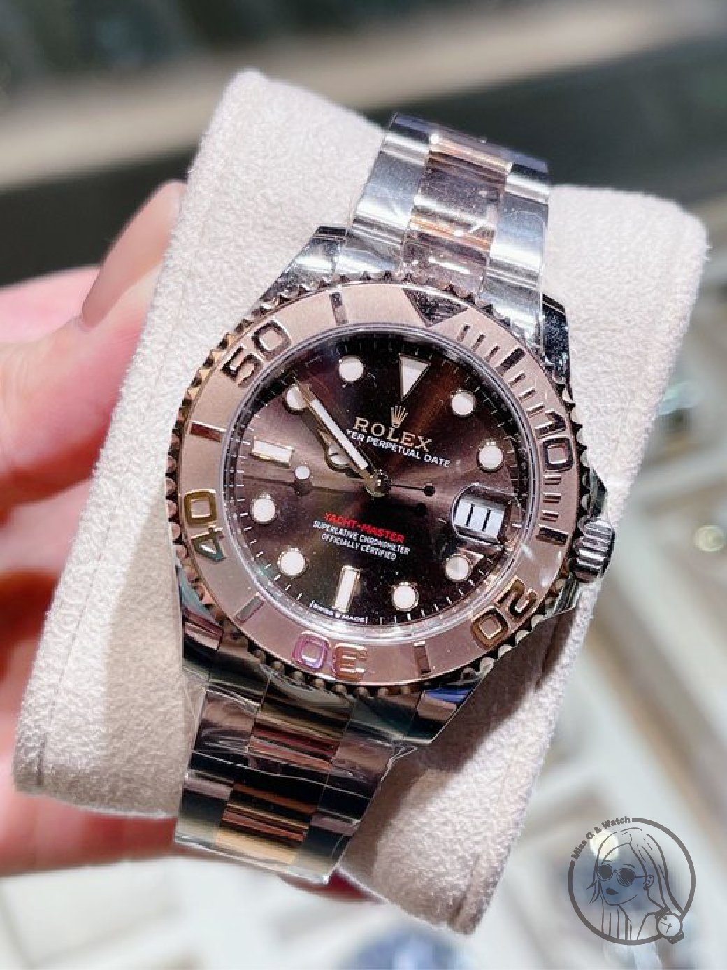 【Ｑ小姐的玩錶瘋】ROLEX Yacht Master 268621玫瑰金小遊艇/巧克力面盤🔺2024年保卡（37MM)｜全新品