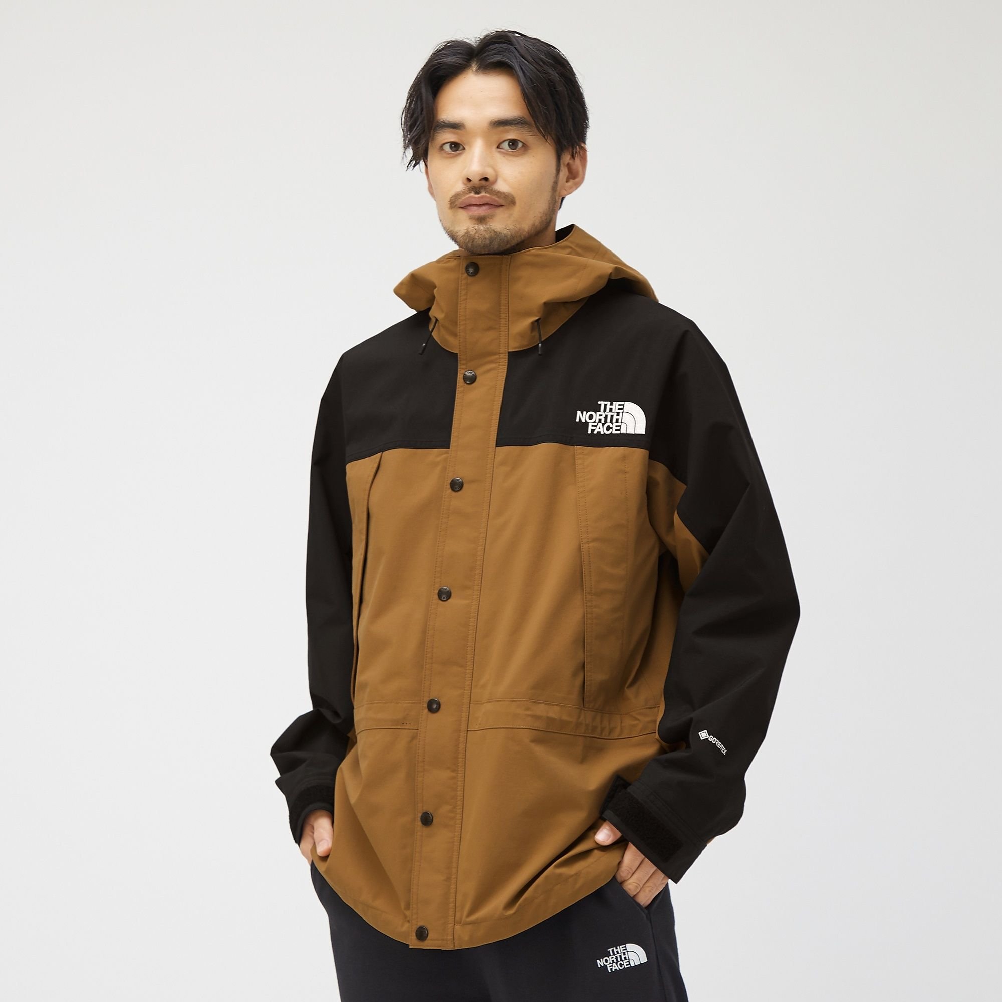 THE NORTH FACE Mountain Light Jacket NP62236 GORE-TEX 連帽外套