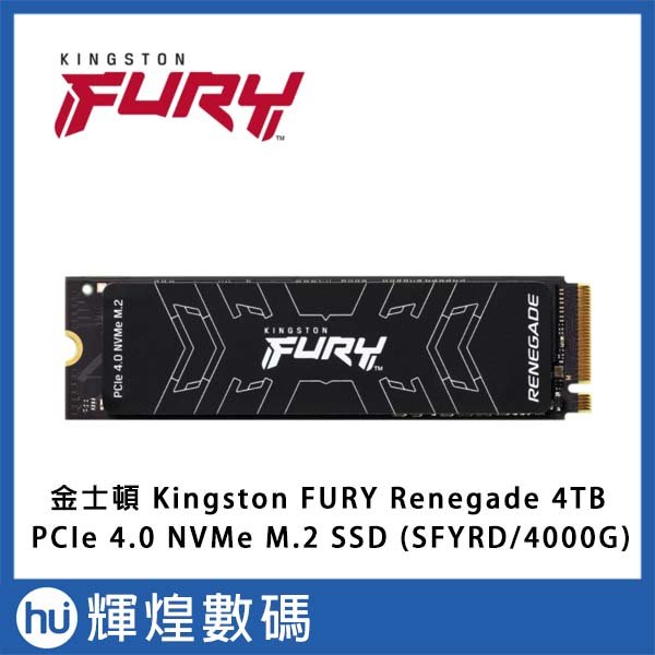 金士頓Kingston FURY Renegade 4TB PCIe 4.0 NVMe M.2 SSD 固態硬碟