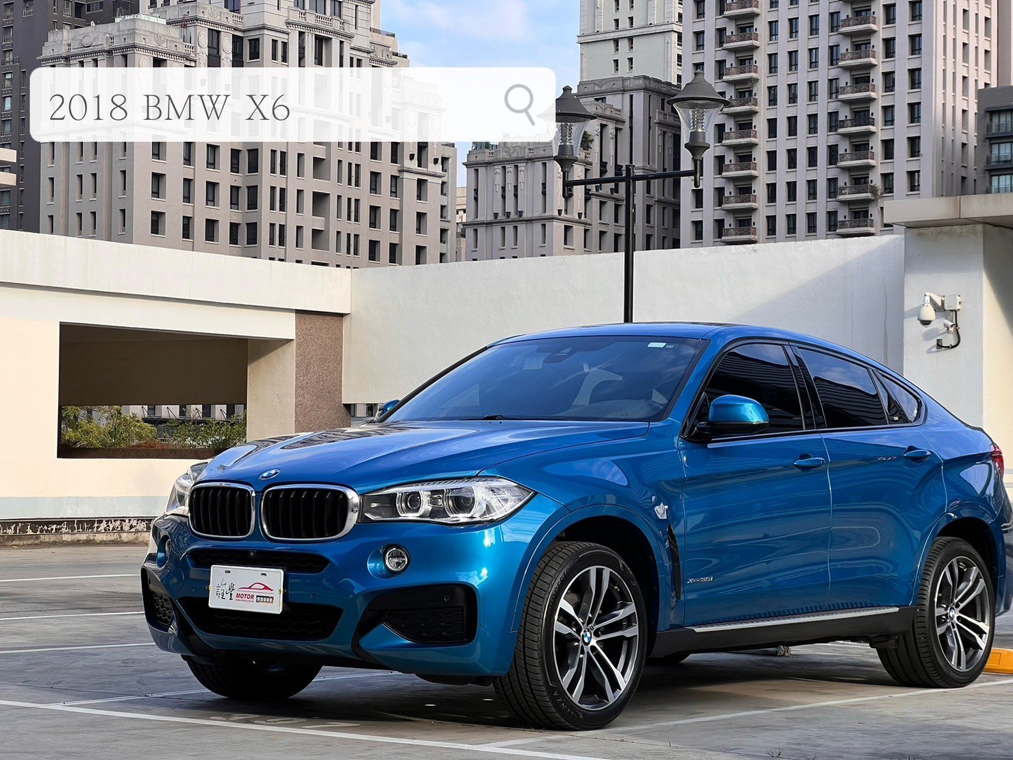 2018 BMW 寶馬 X6