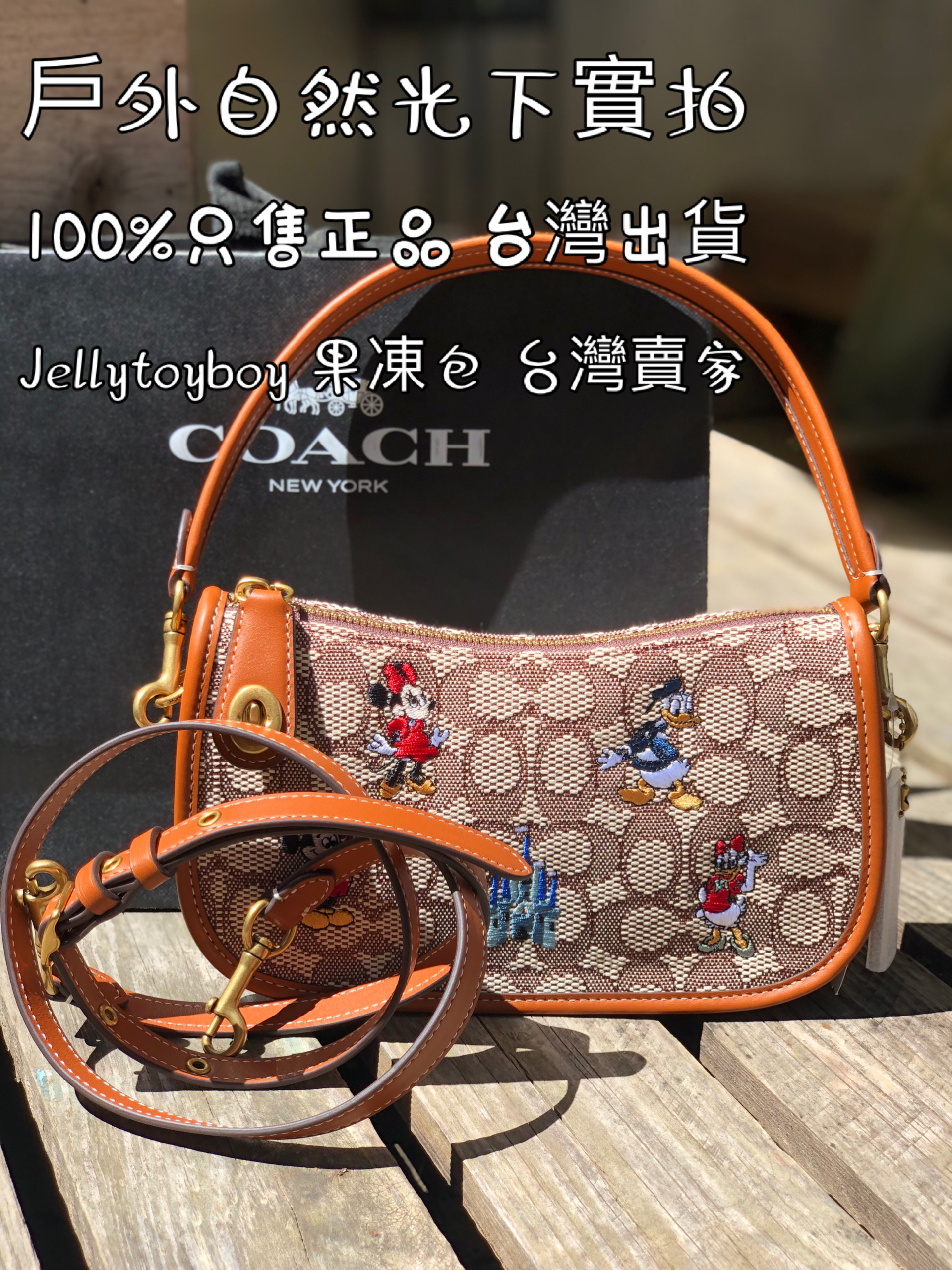 COACH バッグ レザー ワン ショルダー リュック 型 茶 カーキ 黒 www