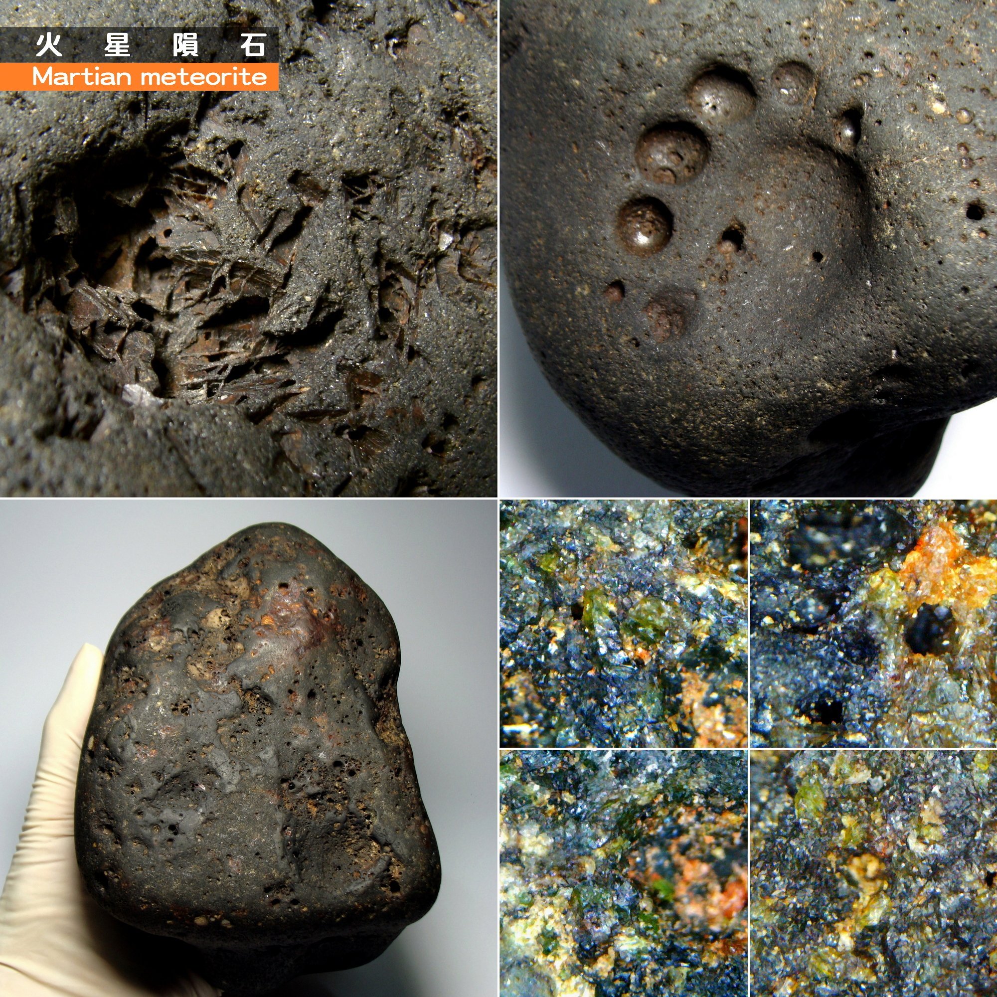 妙麗 火星隕石 Martian Meteorite 貓掌氣印 Mars Cat Snc輝玻無球粒 葉狀 收購寶鑽石翡翠 Yahoo奇摩拍賣