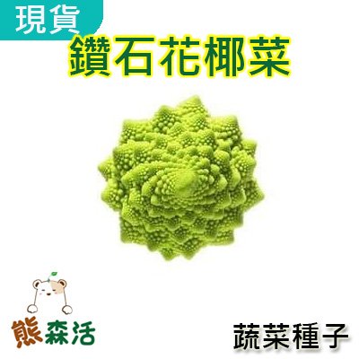 全舘滿790免運 鑽石花椰菜種子 羅馬花椰菜cavolfiore Romano 約粒進口 熊森活 Yahoo奇摩拍賣