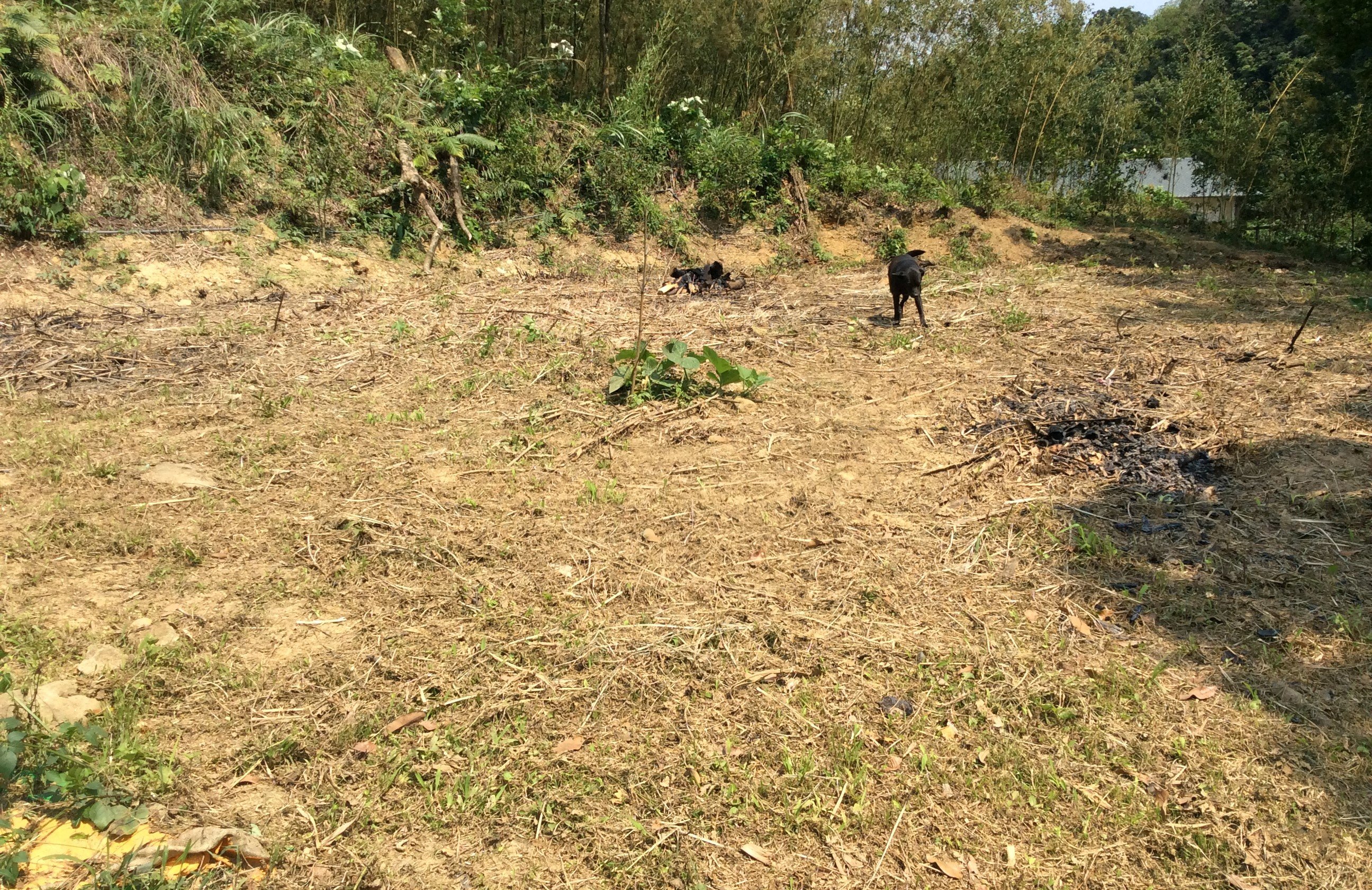 汐止八連路二段路邊丙建100坪空地出租