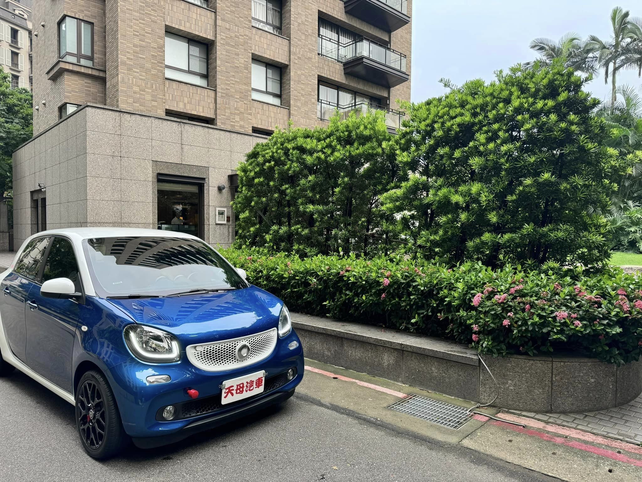 2016 Smart Forfour