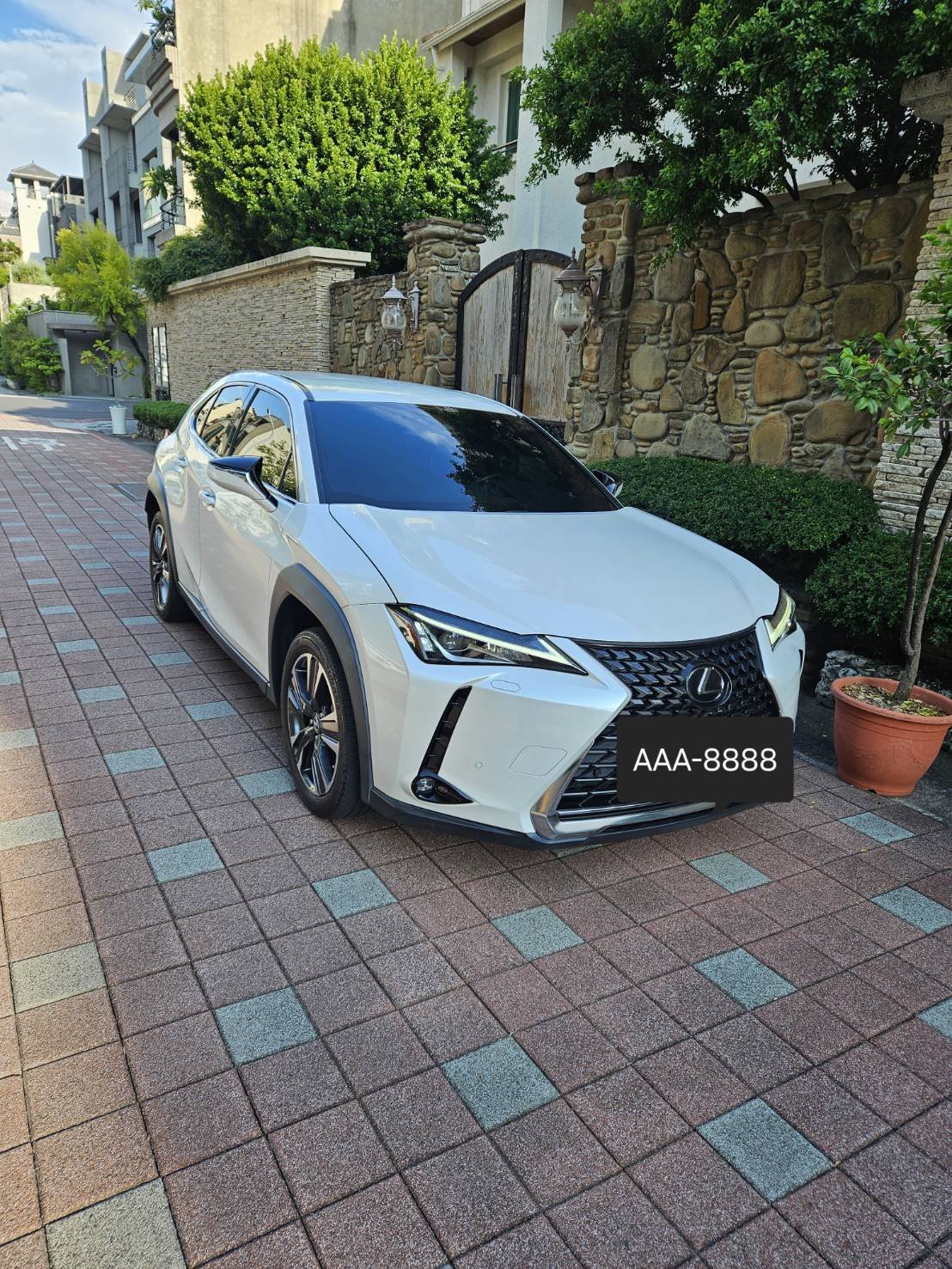 2020 Lexus 凌志 Ux