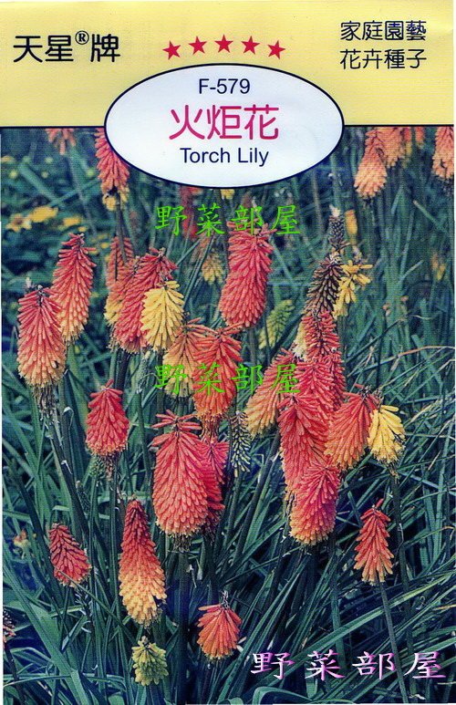 野菜部屋 Y52 火炬花torch Lily 天星牌原包裝種子 每包15元 Yahoo奇摩拍賣