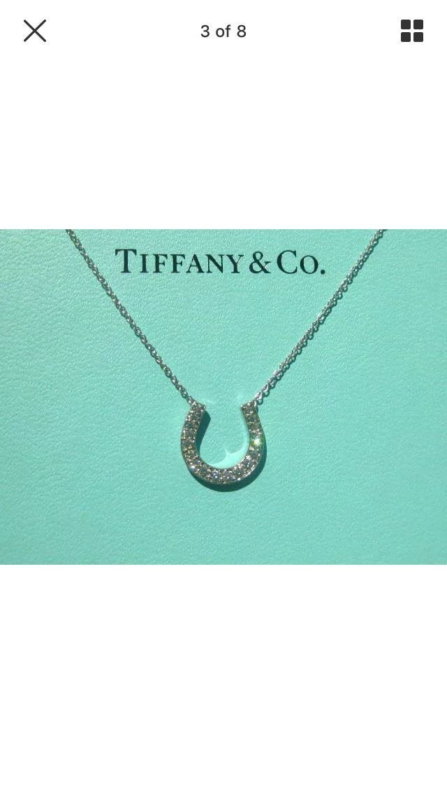 Tiffany&amp;Co 馬蹄鑽石鉑金項鍊《限時降價4萬5千元》