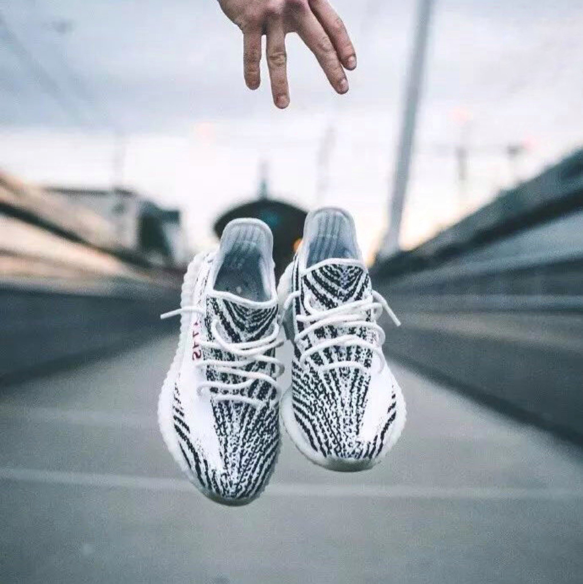 少量女段Us4.5~6.5 Adidas Yeezy Boost 350 v2 白斑馬Zebra 歐洲限定灰