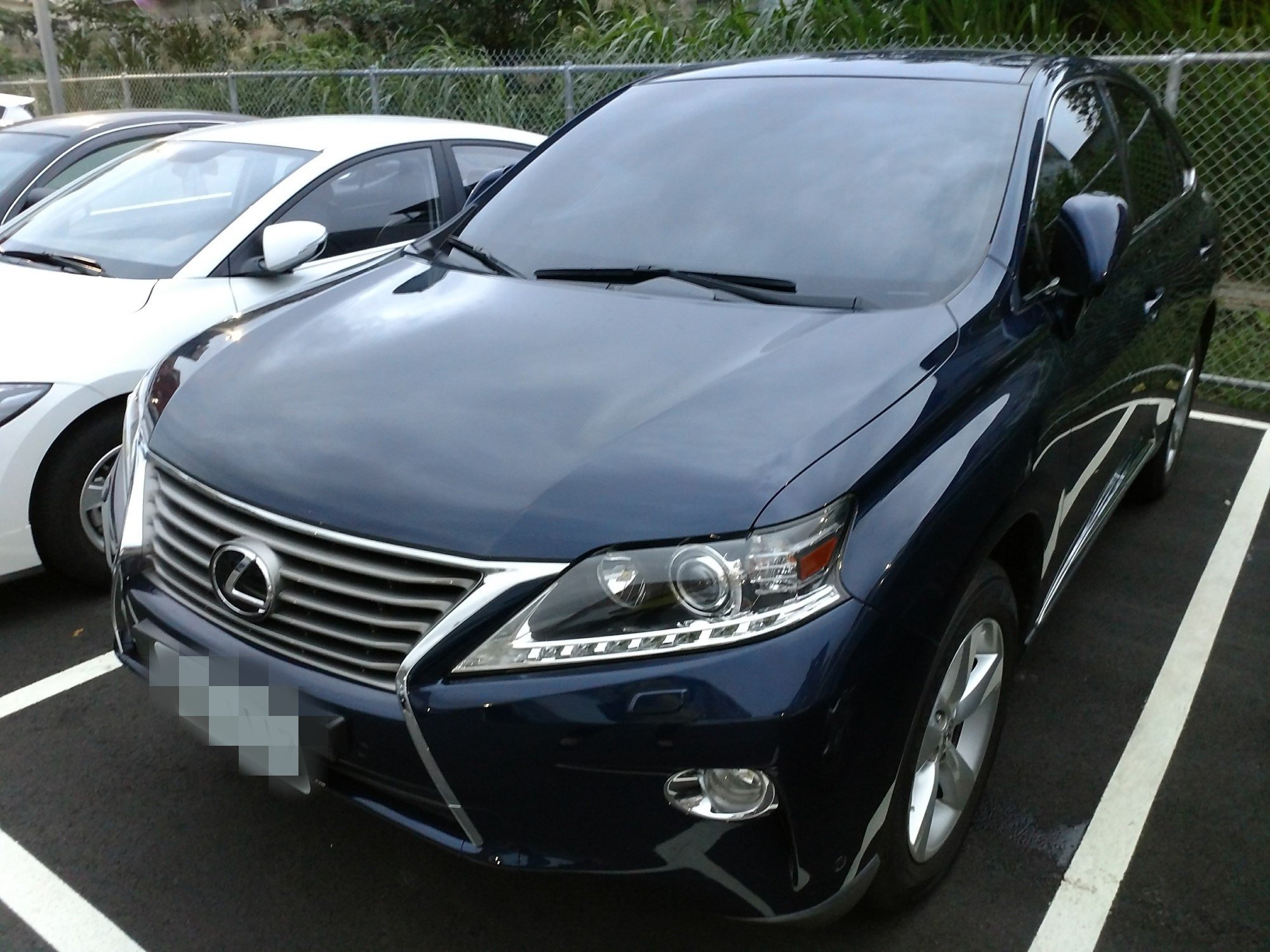 2013 Lexus 凌志 Rx