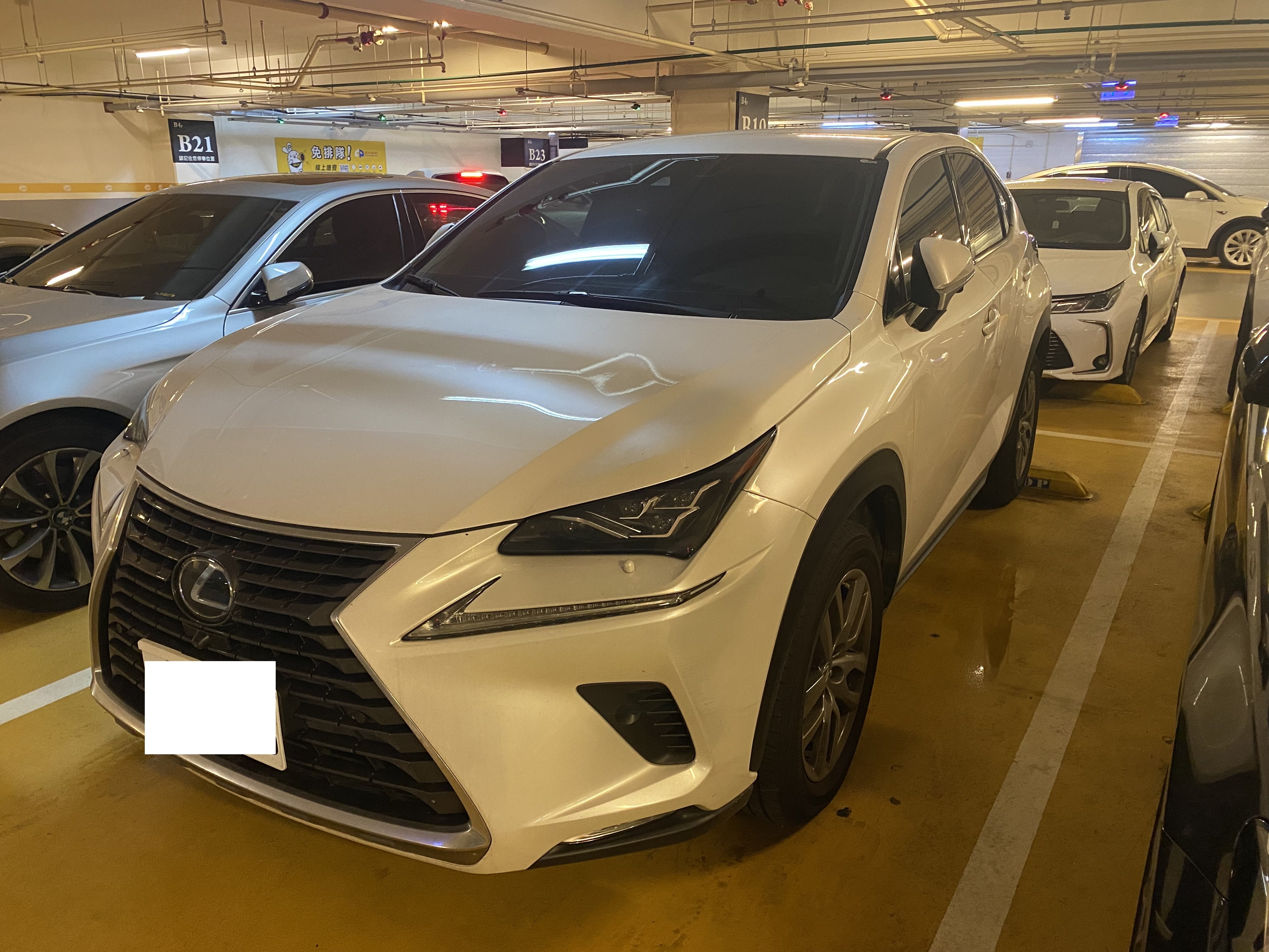 2018 Lexus 凌志 Nx