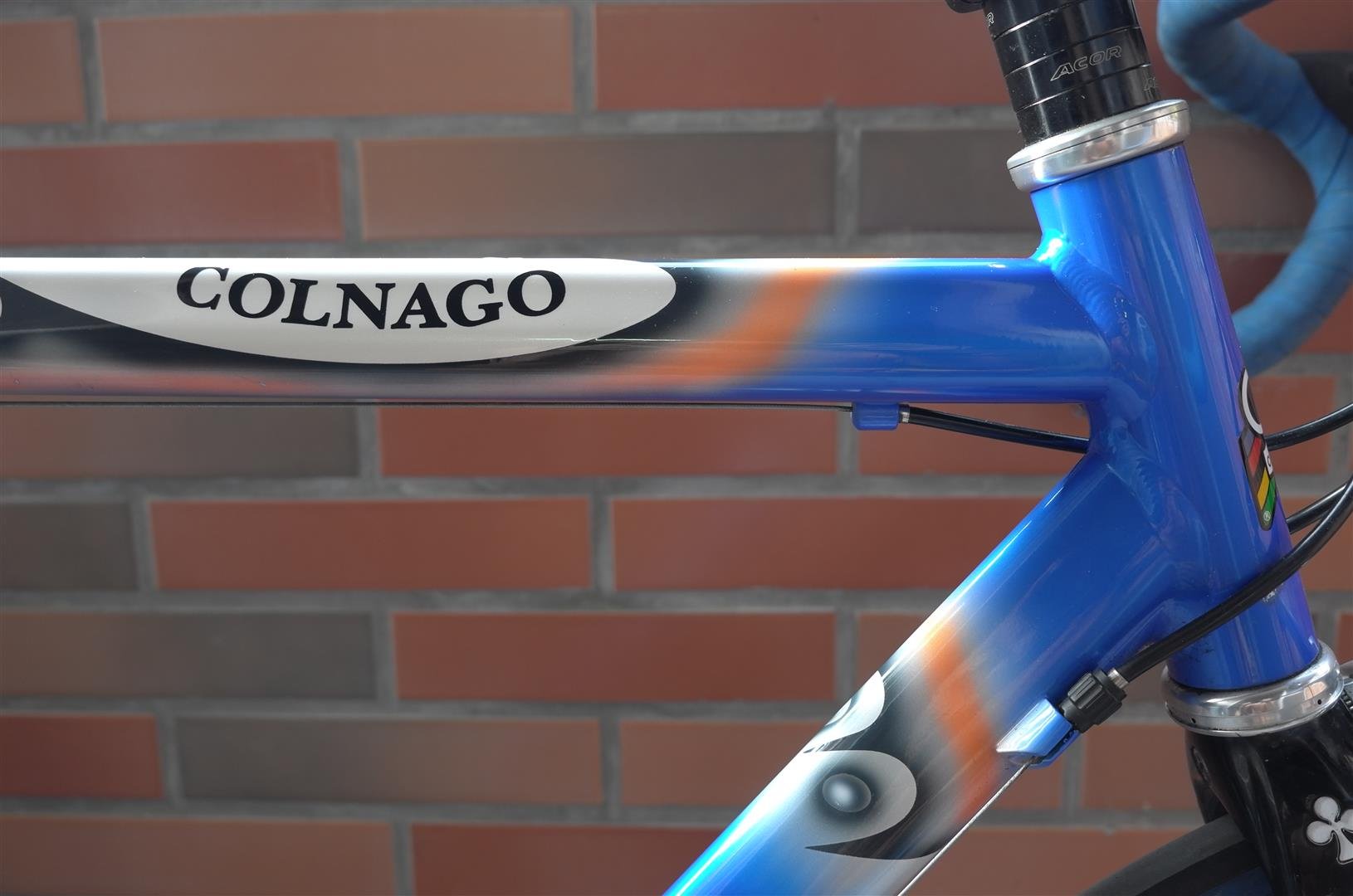 Colnago Active