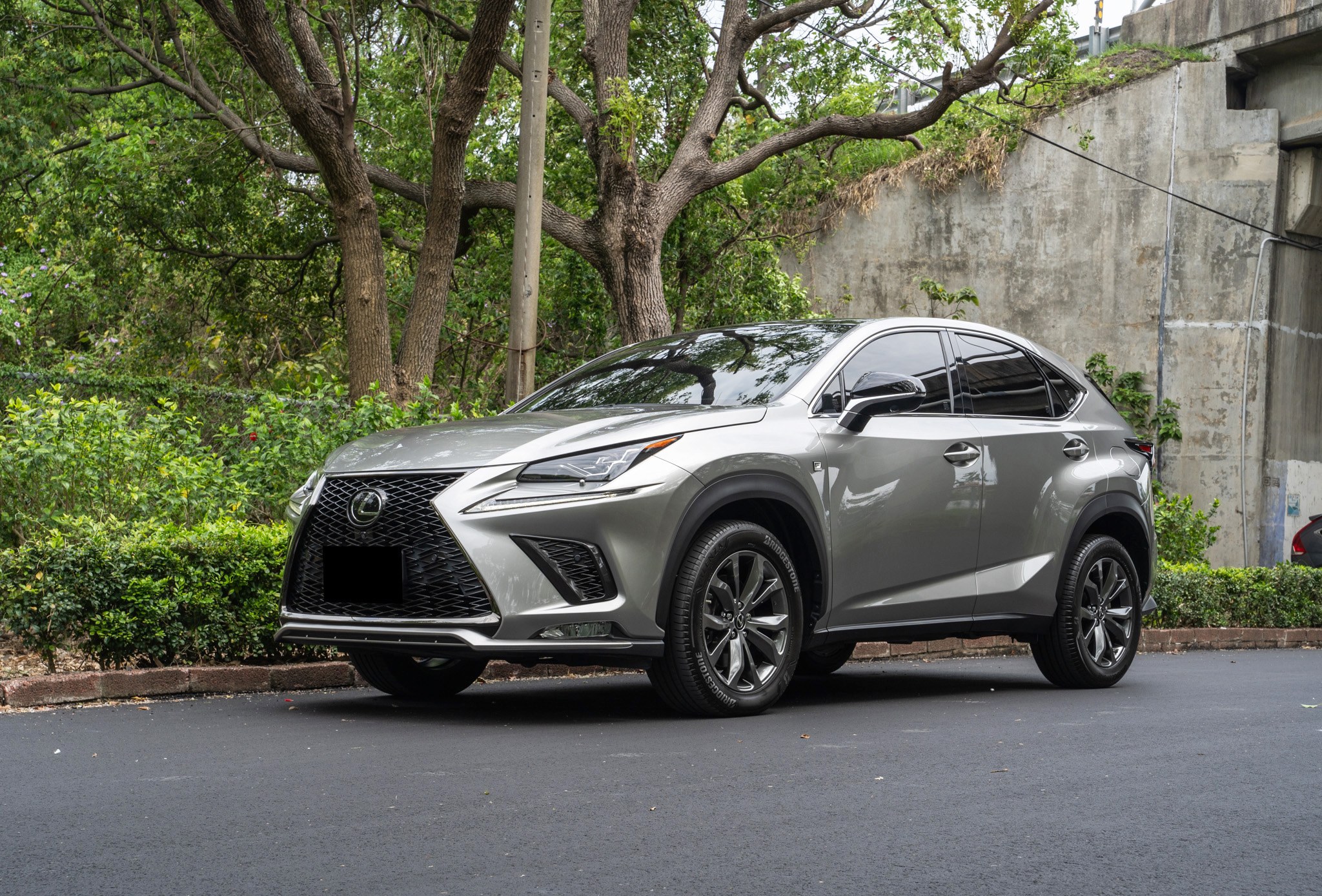 2020 Lexus 凌志 Nx