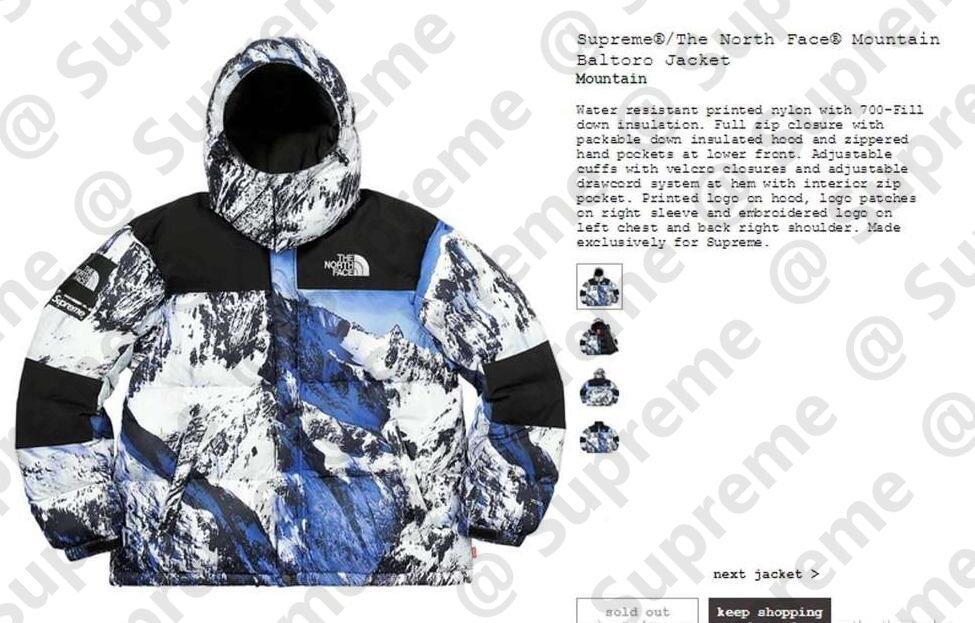 全新現貨Supreme The North Face Mountain Jacket TNF 雪山羽絨外套