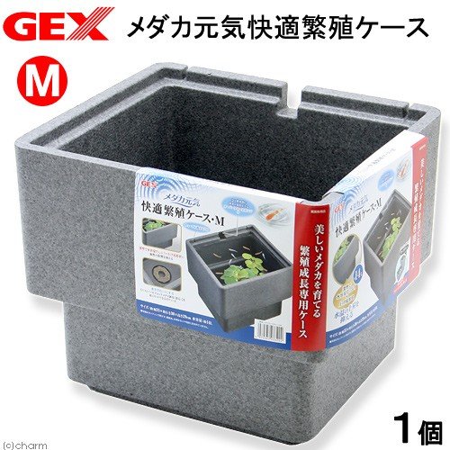 微笑的魚水族☆GEX-五味【觀賞方型飼育箱 M】青鱂元氣舒適飼養箱.觀賞方型 飼育箱