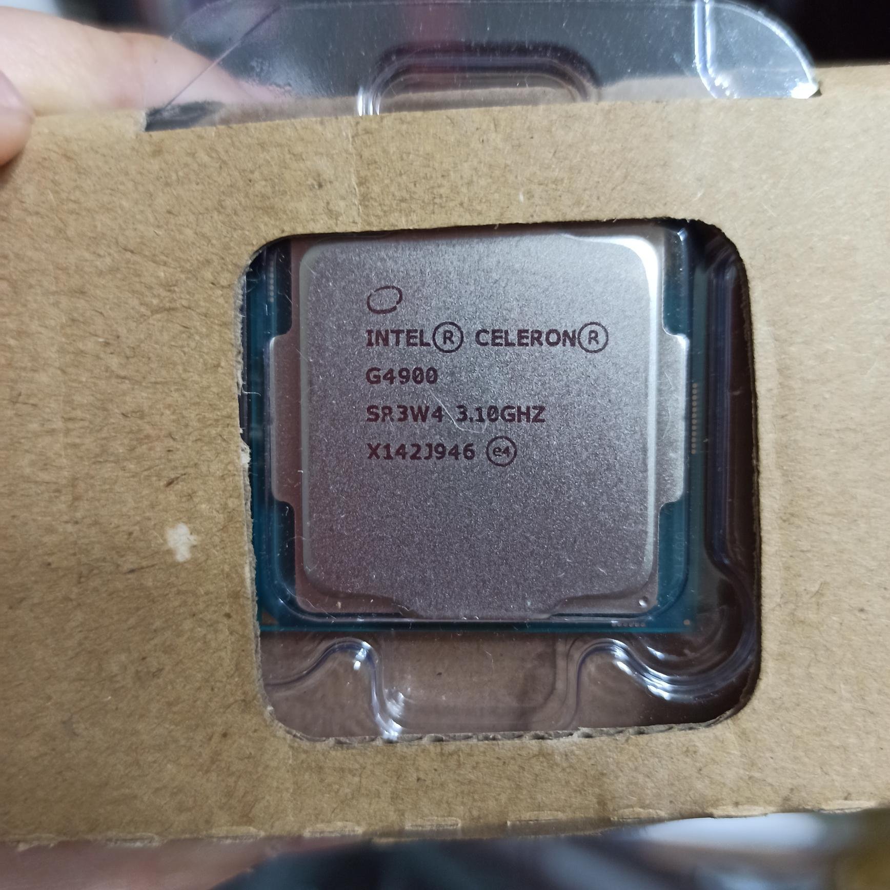 全新-第9代intel celeron G4900 3.1G CPU中央處理器第九代適用B360系列