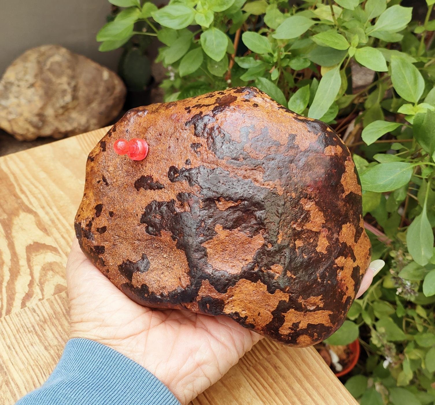 老珍藏新疆天鐵隕石鐵隕石原礦~超大顆重約2832公克~實品拍攝~特賣出清 