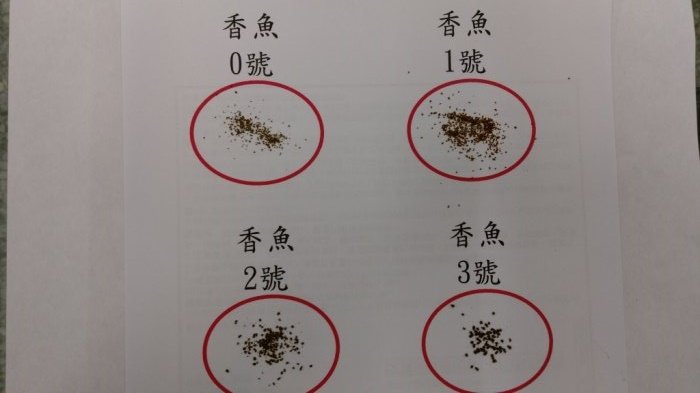 香魚飼料 4.5公斤 (孔雀.小型魚.七彩神仙 飼料)