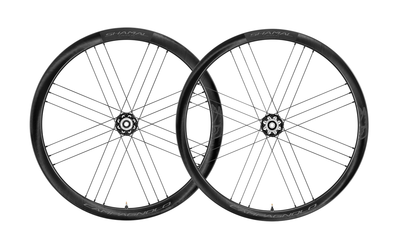 【online bike】線上單車 Campagnolo SHAMAL carbon disc 送內外胎/分期0利率