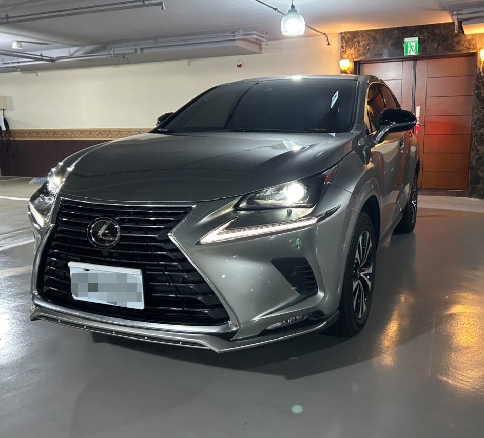 2021 Lexus 凌志 Nx