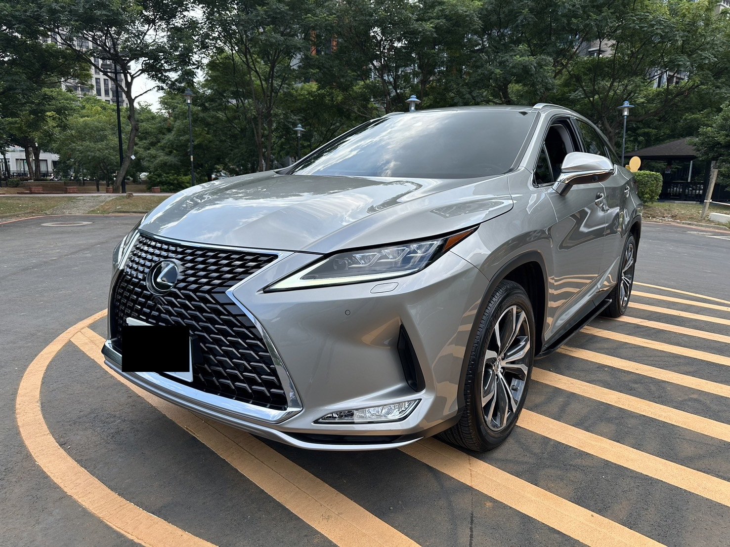 2020 Lexus 凌志 Rx