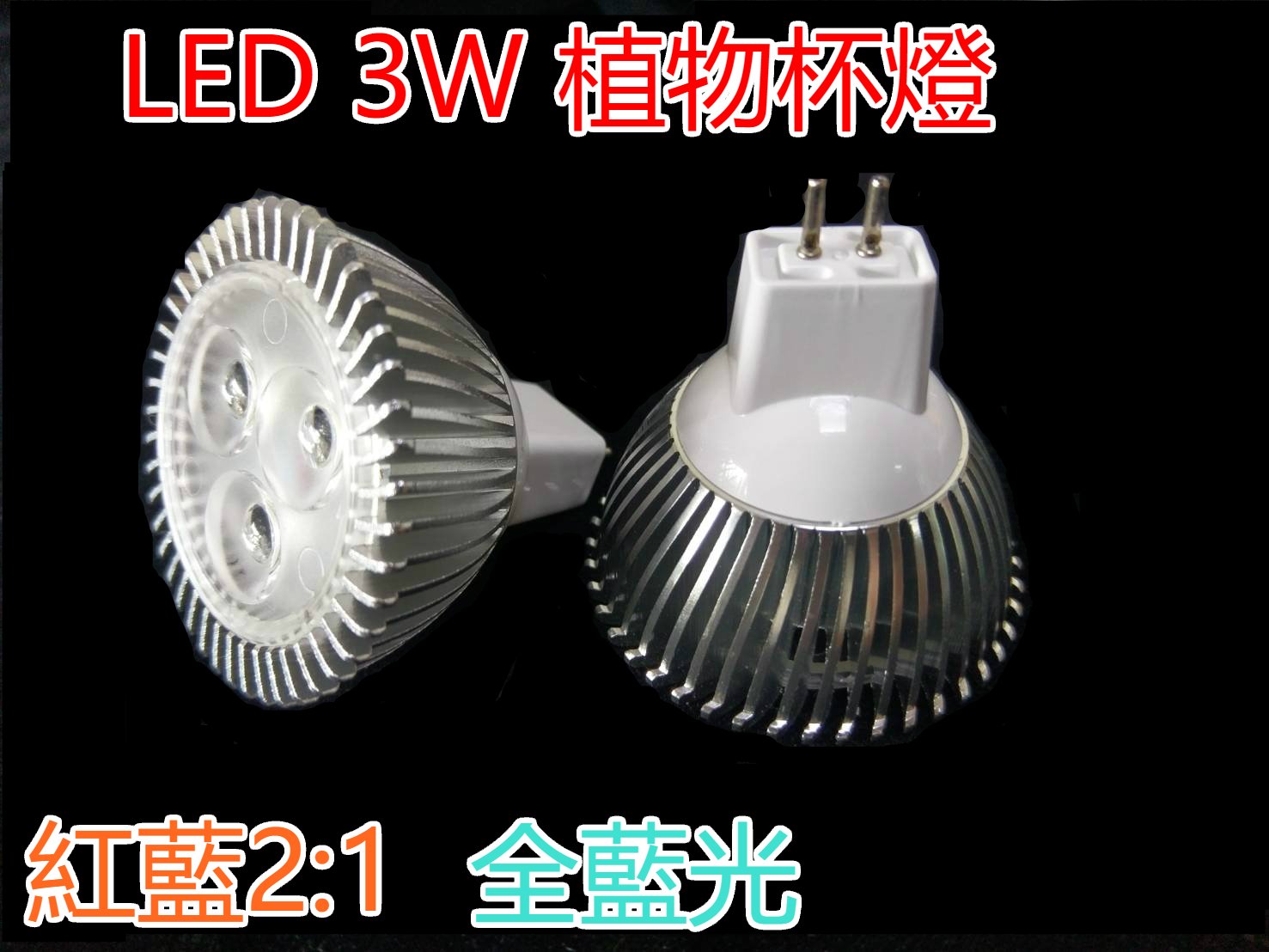 ♥遠見LED♥LED植物燈 3W MR16 杯燈 支架燈 紅藍2:1 全藍光 多肉 小盆 生長燈 高雄LED材料批發