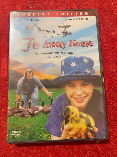 全新未拆封絕版品)返家十萬里Fly away home DVD(得利/ERA年代公司貨)有