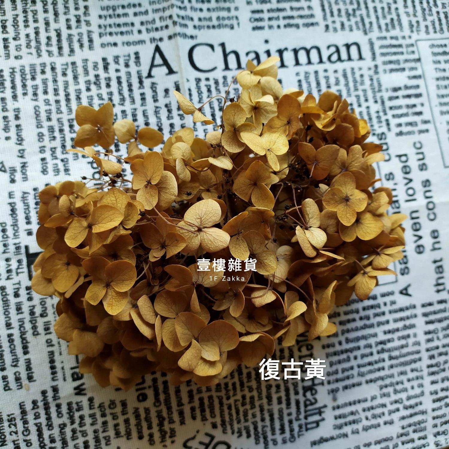 永生繡球花不凋繡球花a級永生綉球10g盒裝10克永生花手腕花胸花花盅花材花束 壹樓雜貨1f Zakka Yahoo奇摩拍賣