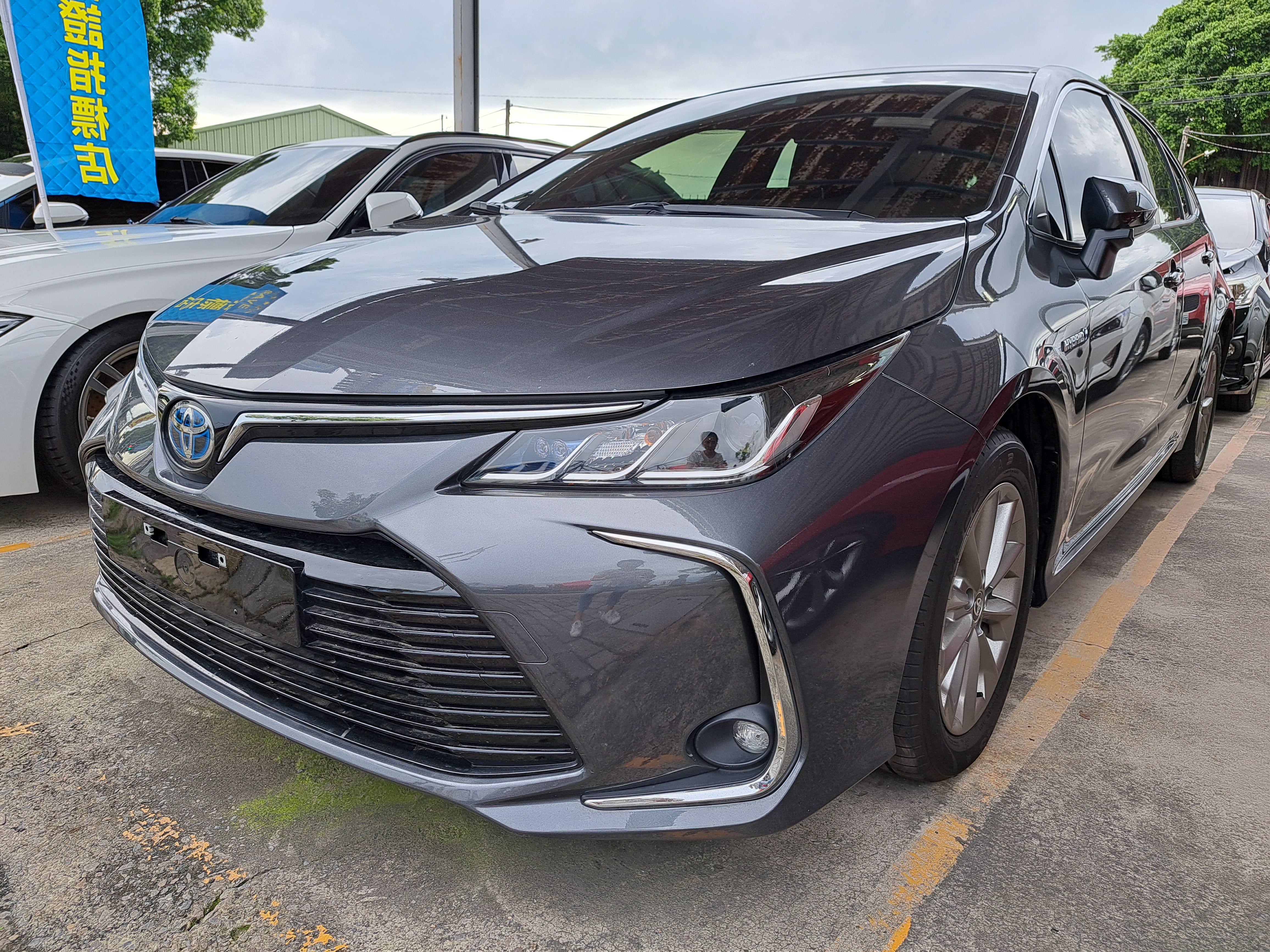 2023 Toyota 豐田 Corolla altis