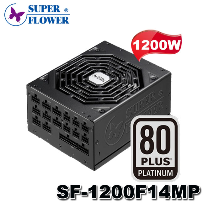 MR3C】含稅免運振華1200W LEADEX Platinum SE 80PLUS 白金牌全模組電源