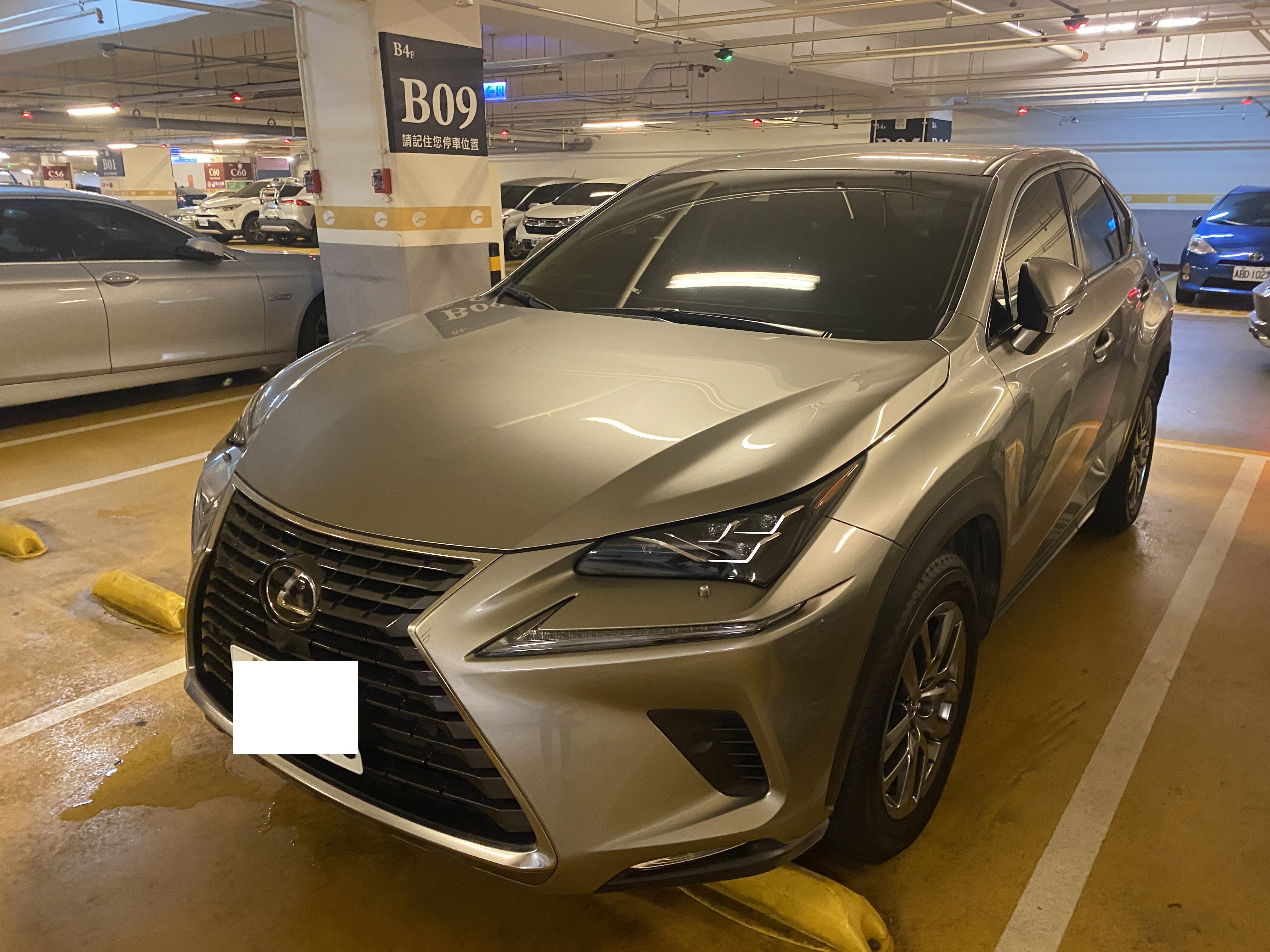 2019 Lexus 凌志 Nx