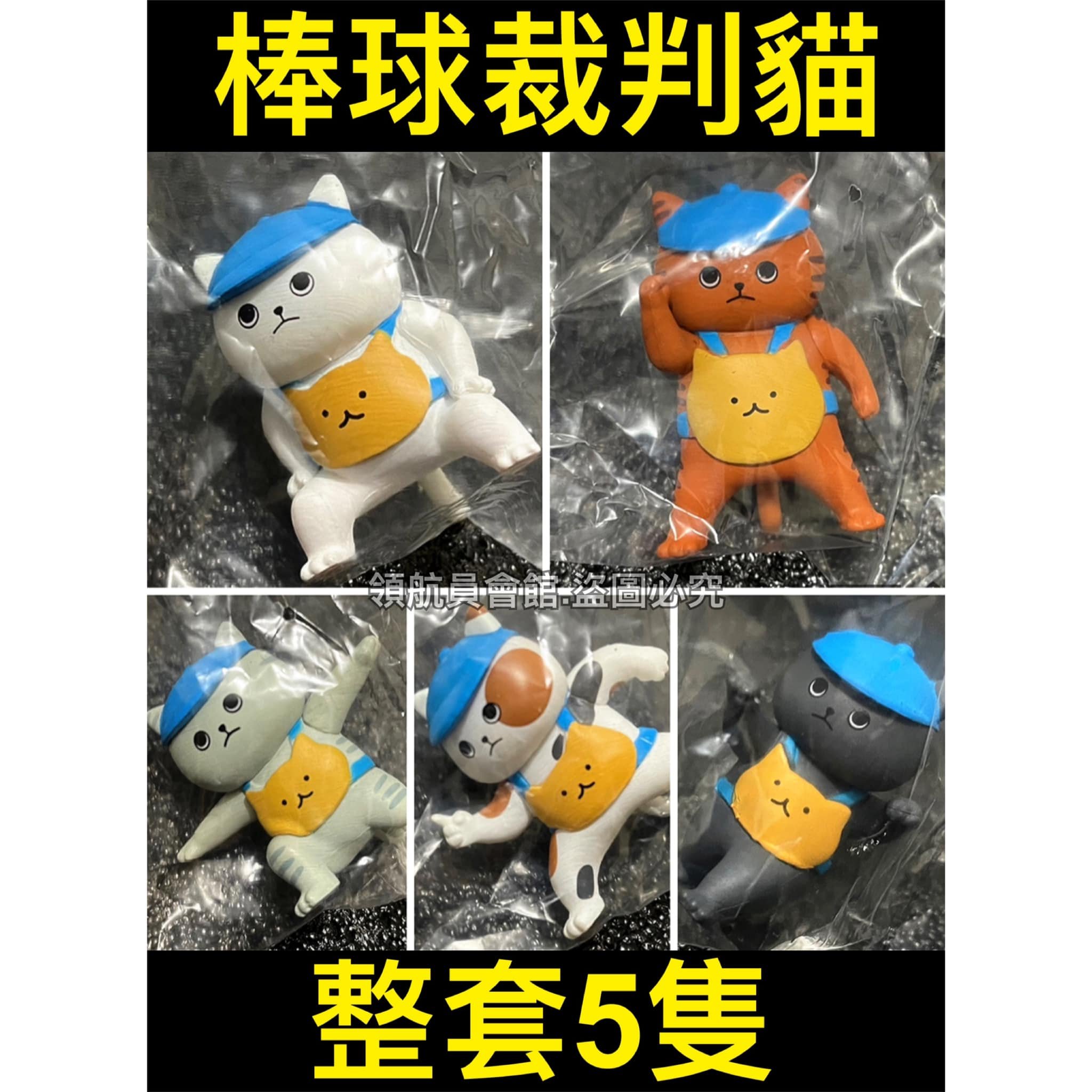 帯電防止処理加工 新品未開封 PLANET TYRANNO ティラノ 1st colorway