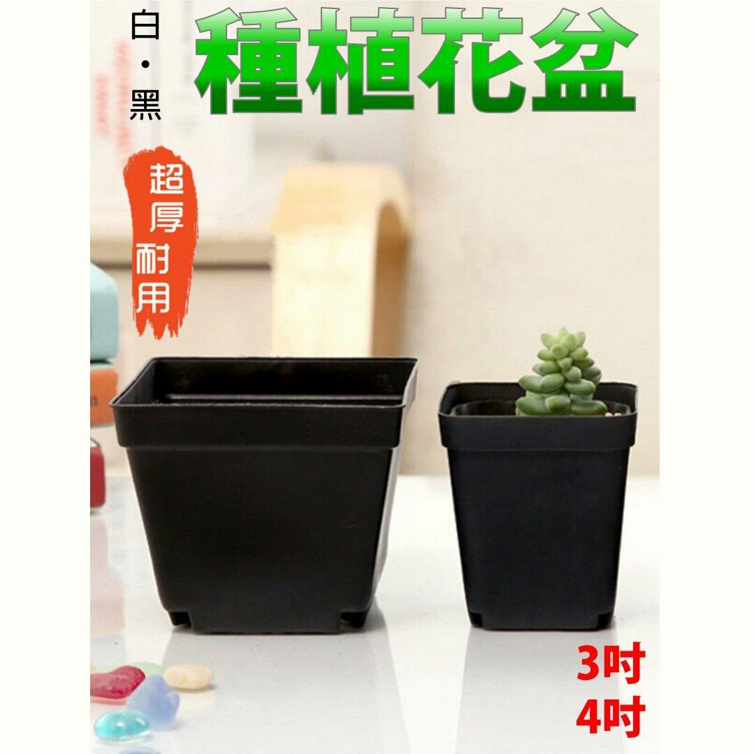 多肉植物，專用出品 インテリア・住まい・小物