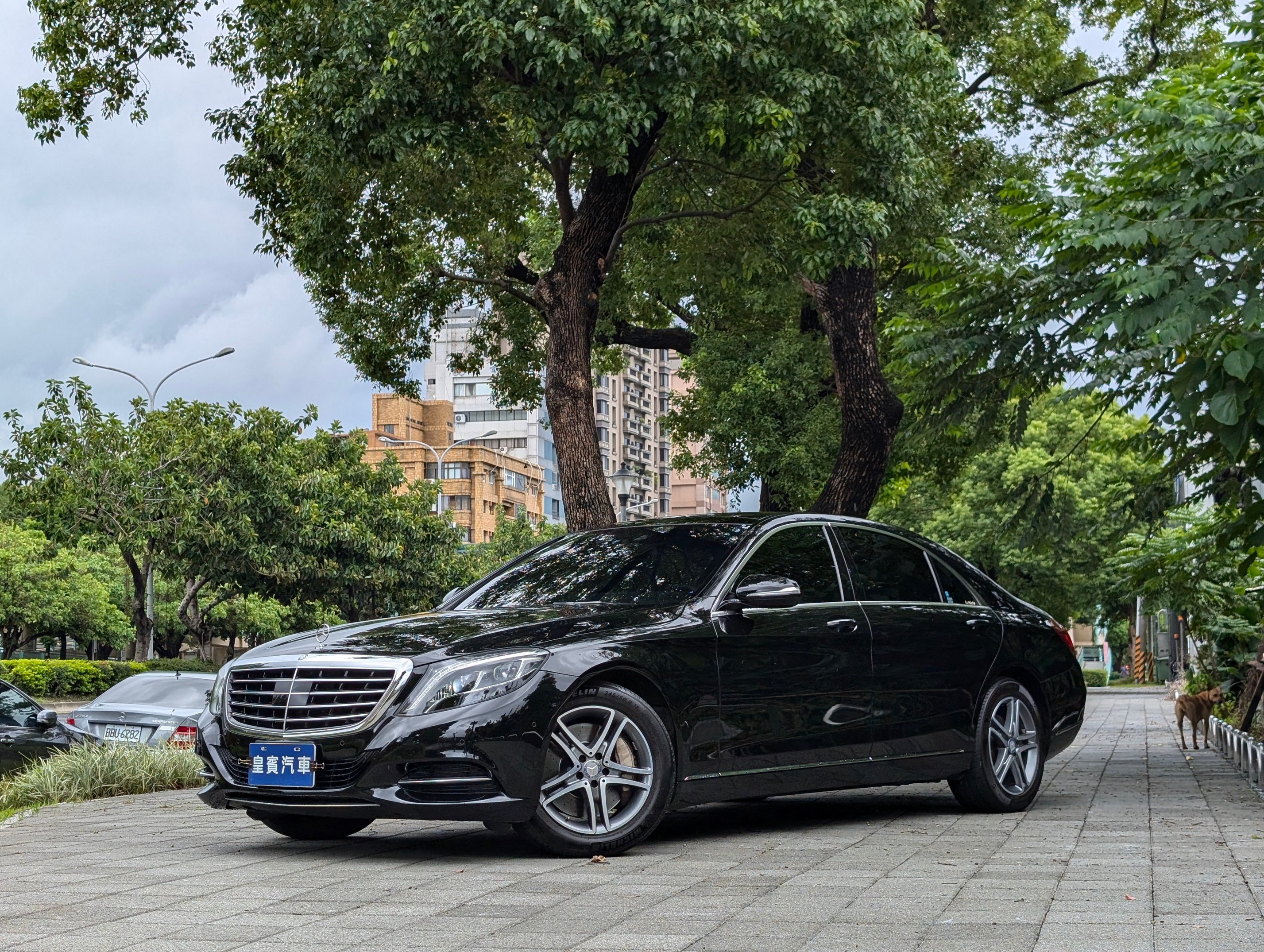 2016 M-Benz 賓士 S-class