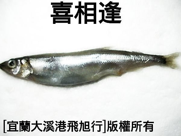 喜相逢 毛鱗魚 每600g 210元 約27尾 Yahoo奇摩拍賣