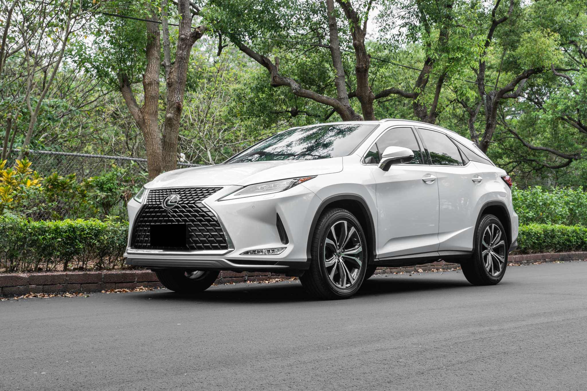 2020 Lexus 凌志 Rx