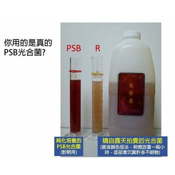 PSBLab] 水族光合菌600cc, PSB光合成菌, 光合紅菌, 光合細菌, 不須使用