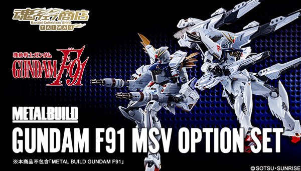 高評価の贈り物 メタルビルドF91 MSVオプションセット elpidajob.gr