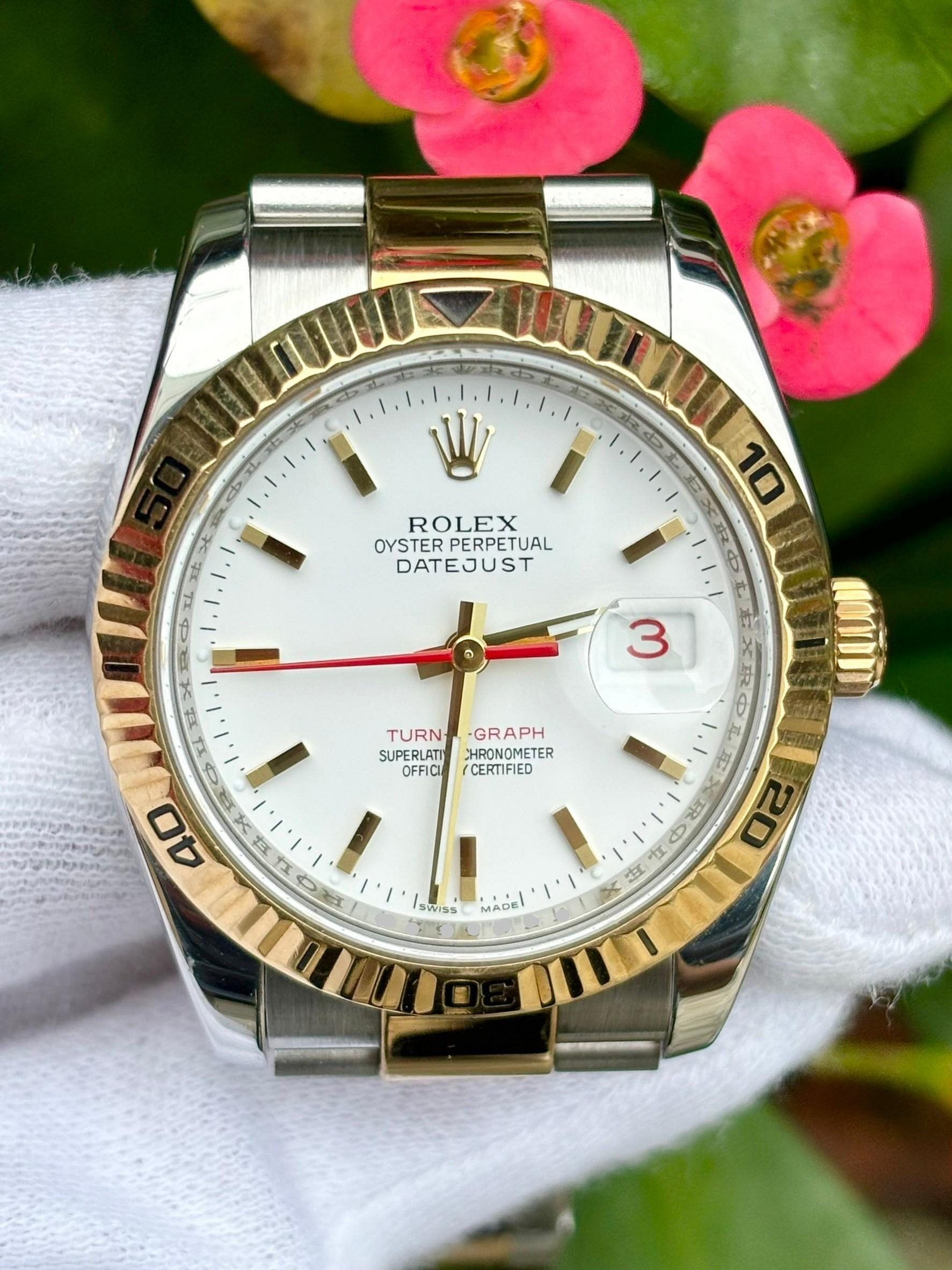 勞力士 ROLEX 型號116263  爬山虎 紅日期  動力來源3135 錶徑36mm 盒單完整