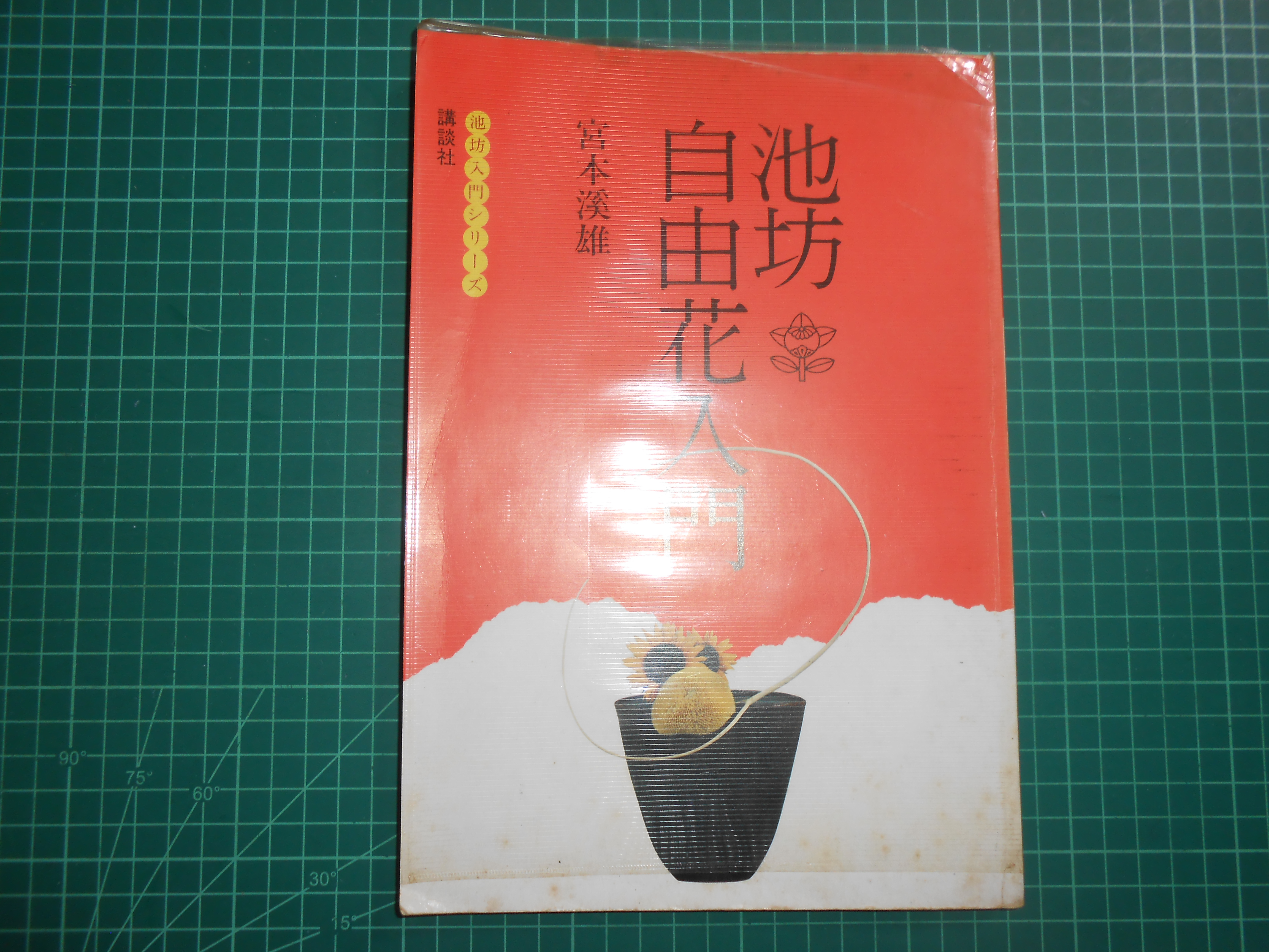 插花買1送2~《いけばな入門~基本と實技》贈池坊自由花入門插花的設計 