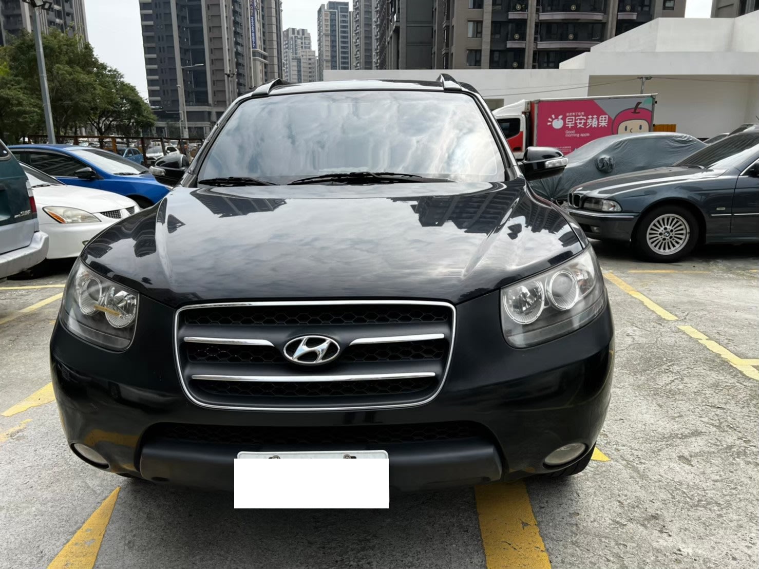 2009 Hyundai 現代 Santa fe