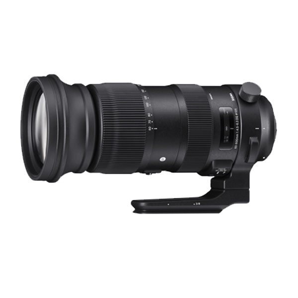 SIGMA 60-600mm F4.5-6.3 DG OS HSM（Sports）SPORT 望遠鏡頭 長鏡頭 全片幅 單眼 單反鏡頭 WW